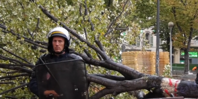 #6 la Plaine pleure ses arbres
